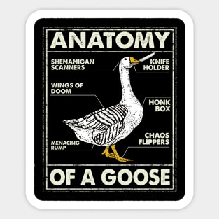 Anatomy Of A Goose Funny Nurse Gift Sticker